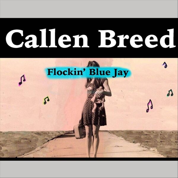 Cover art for Flockin' Blue Jay