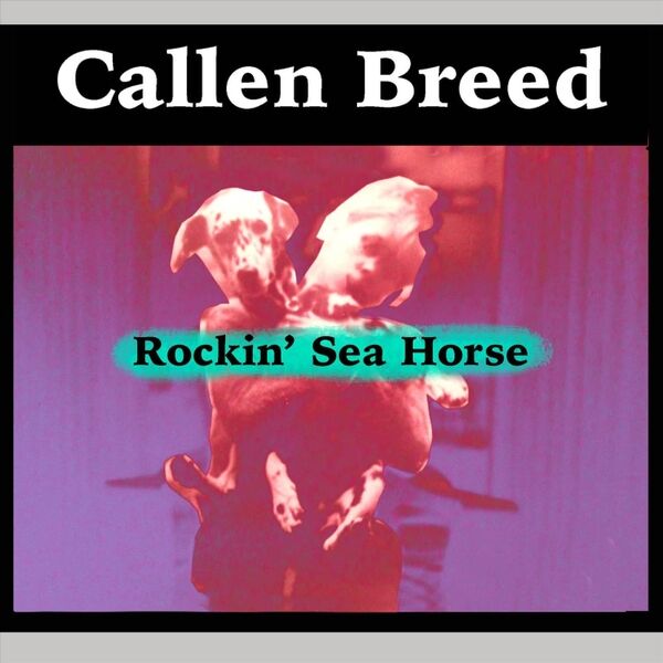 Cover art for Rockin' Sea Horse